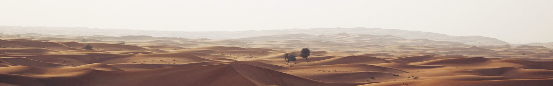 ĿƼ޹˾